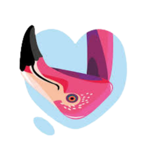 Wsparcie charytatywne Fundacji Gajusz